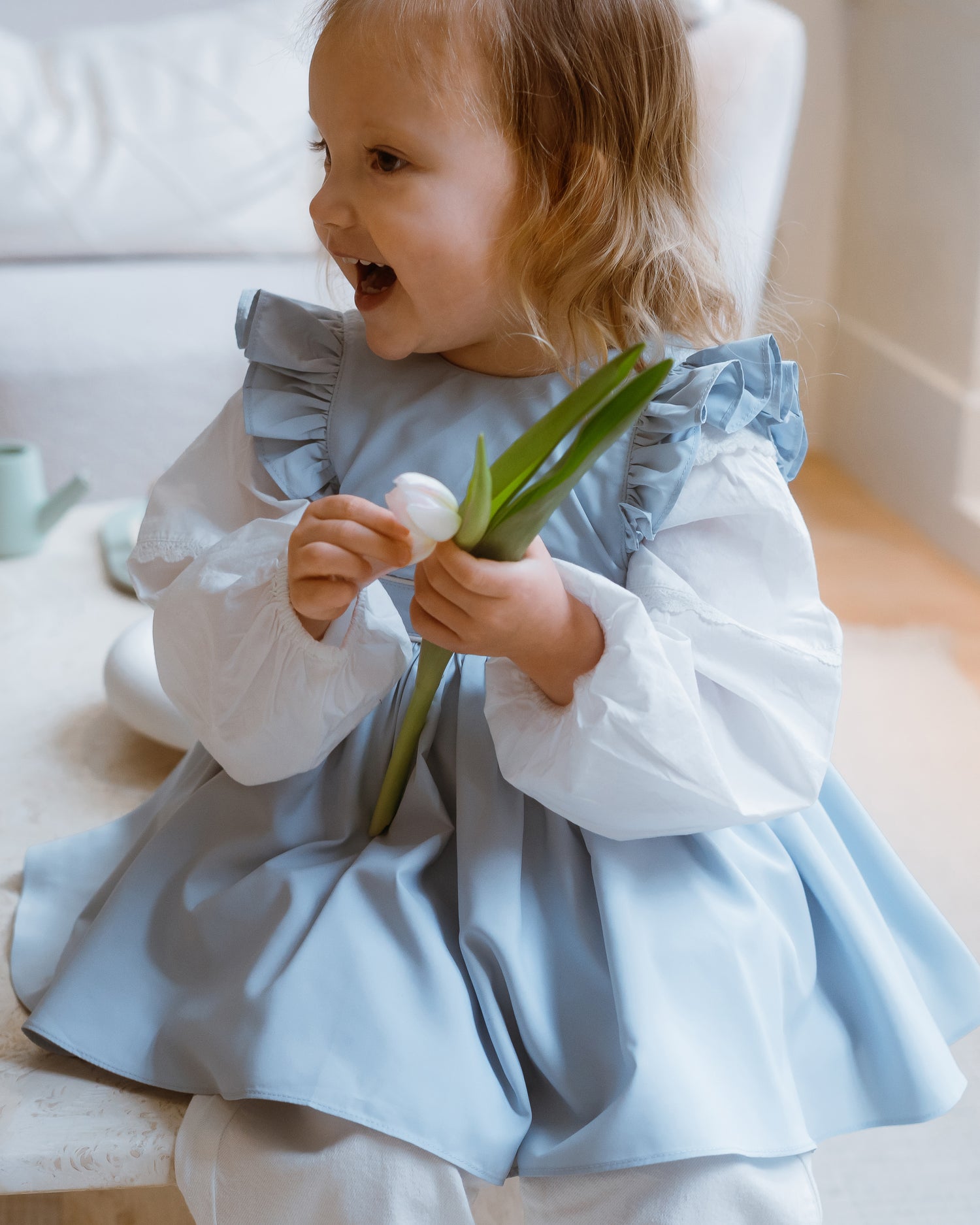 Dreamy Mealtime Duo Bundle